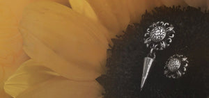 SUNFLOWER KHÔNG CHỈ NÓI VỀ MẶT TRỜI