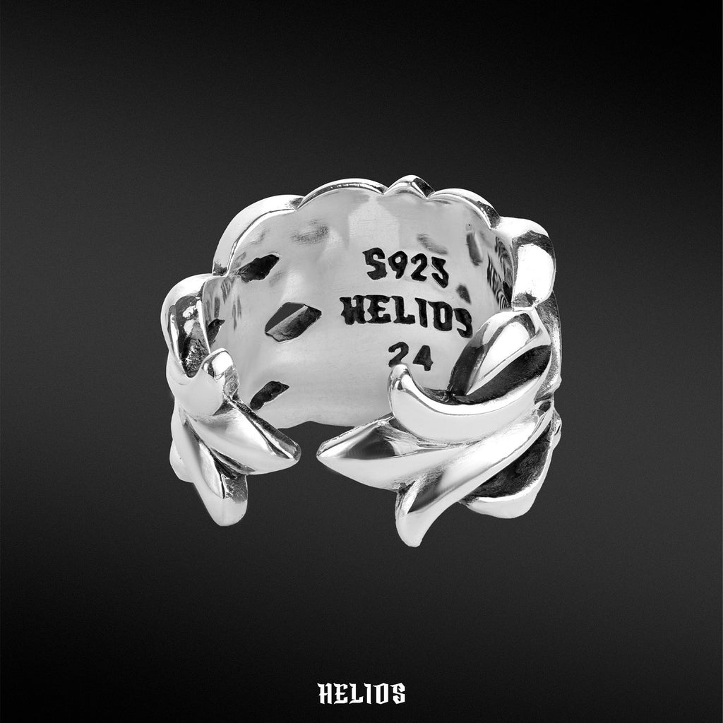 Michigan Lotus Helios Black Silver – HELIOS
